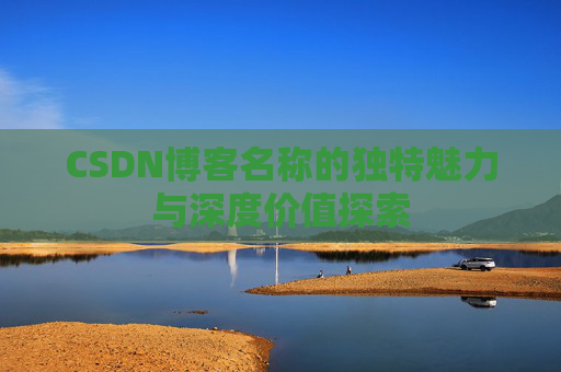 CSDN博客名称的独特魅力与深度价值探索